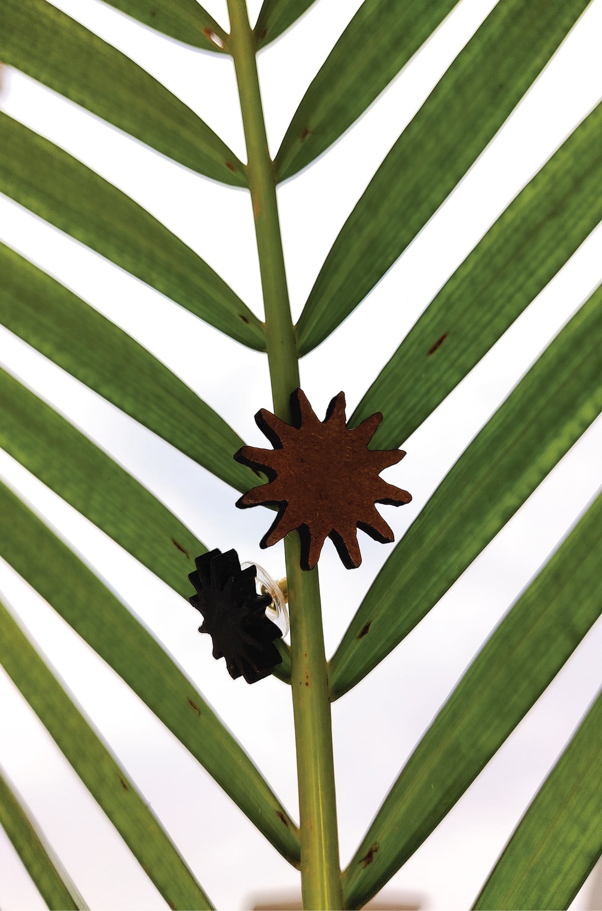 Micro Studs - The Flower Series - Wood Brown styled photo