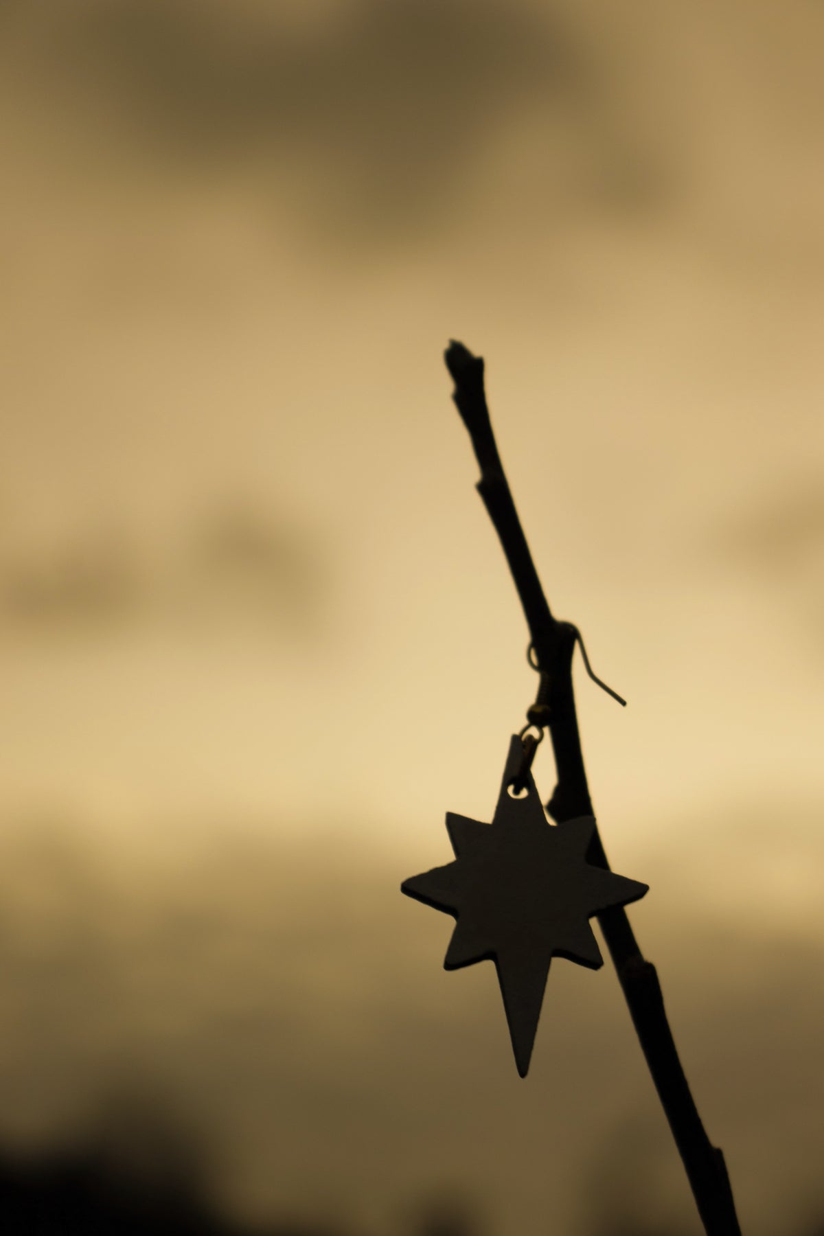 Star of Bethlehem - Brown silhouette image