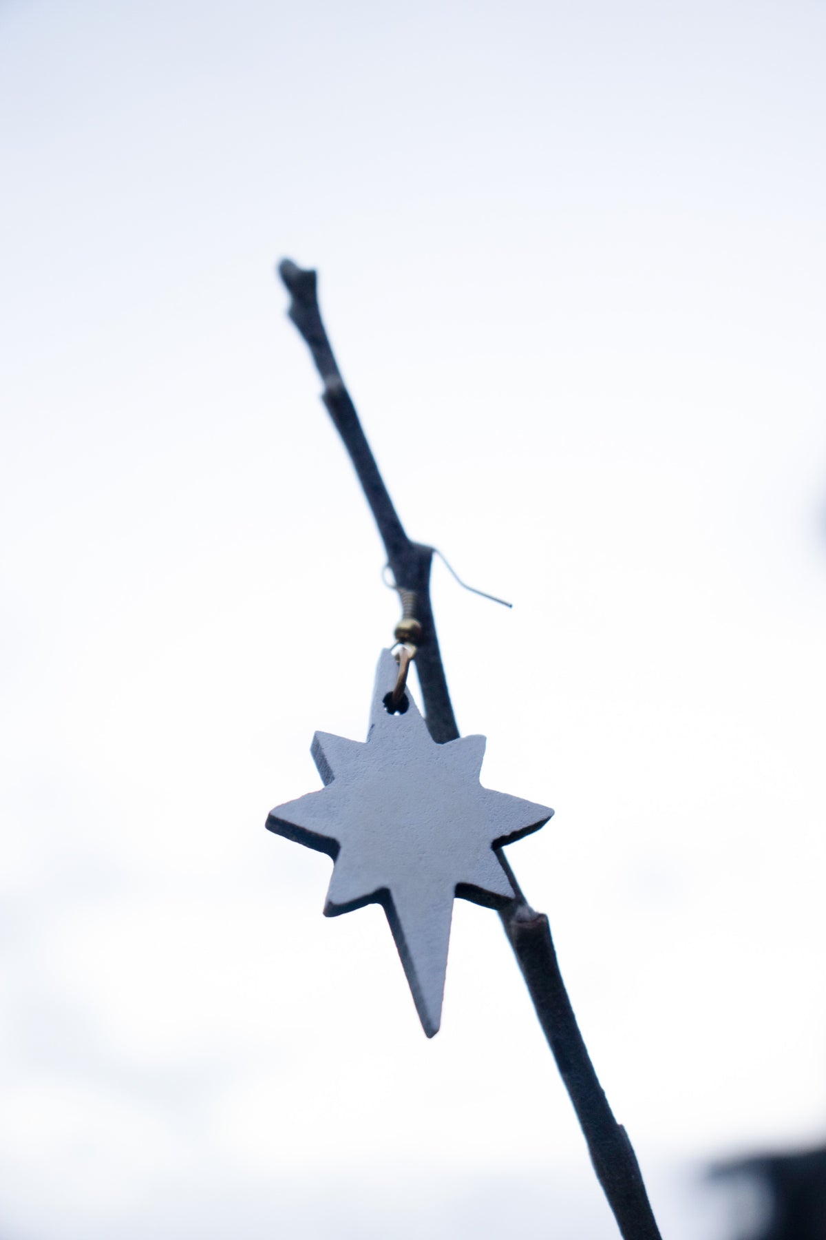 Star of Bethlehem - White detail image