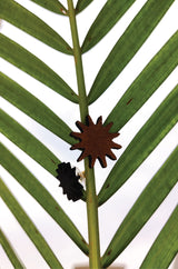 Micro Studs - The Flower Series - Wood Brown styled photo